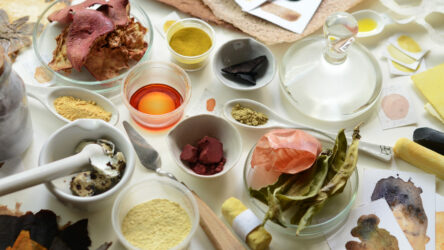 BiojaIaItmed-loomingulises-kasutuses-Siplane-aspect-ratio-1920-1080